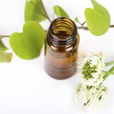 Catechu Extract